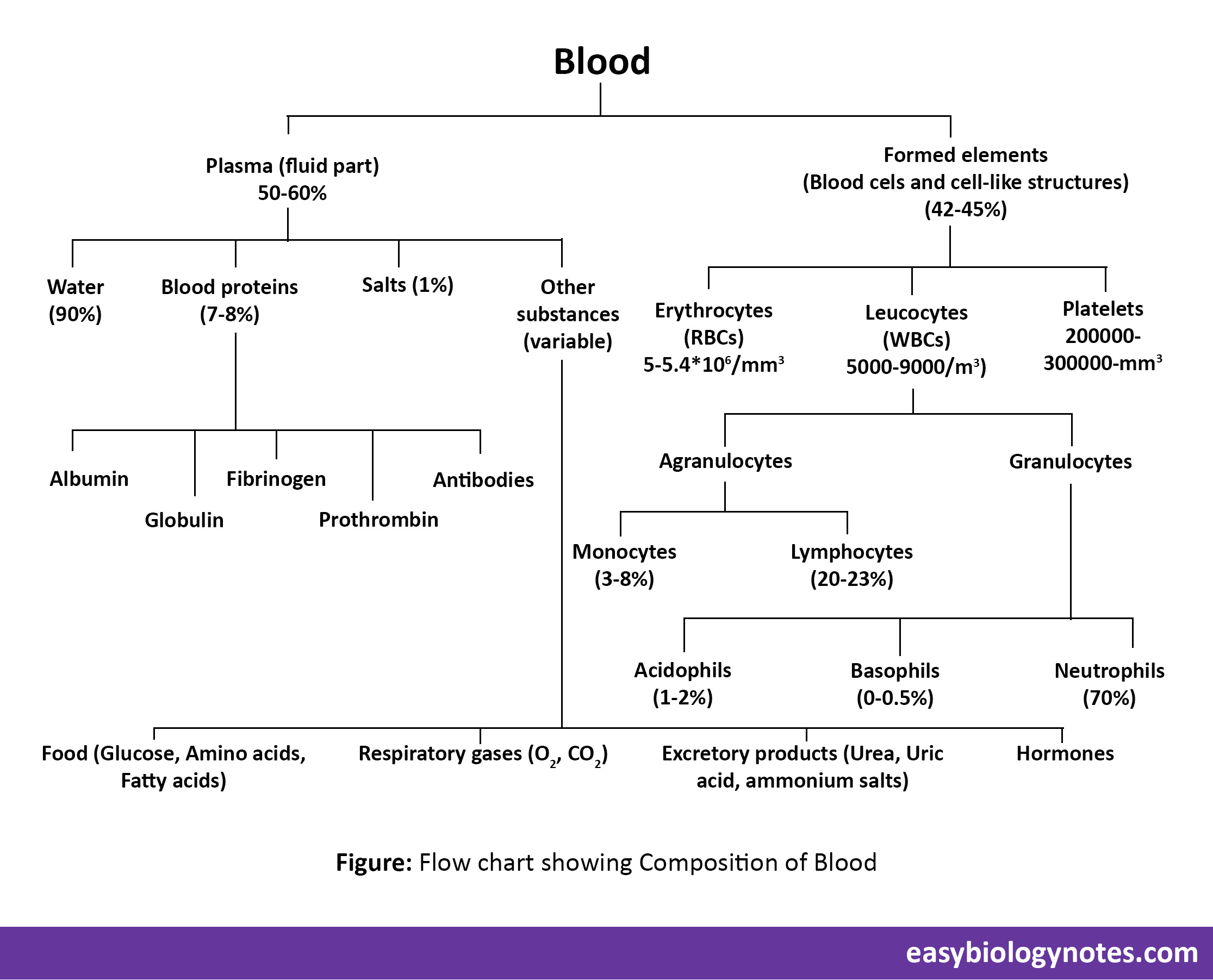 Composition of Blood