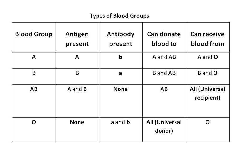 Types of Blood Groups